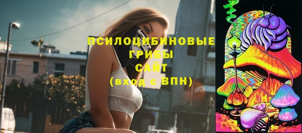 МДПВ Белокуриха