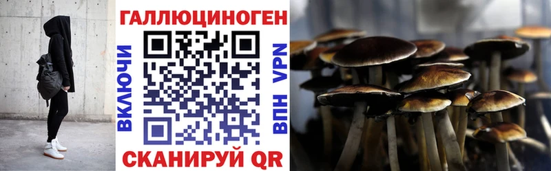 Псилоцибиновые грибы прущие грибы  Городец 